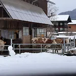 아파트 Mit Schwimmbad Kleinwalsertal 3*