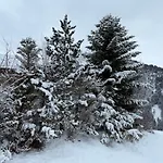 Mit Schwimmbad Kleinwalsertal 3*