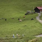 Appartamento Mit Schwimmbad Kleinwalsertal Mittelberg
