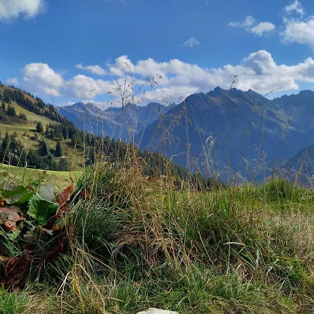 333 Mit Schwimmbad Kleinwalsertal 公寓 米特尔贝格