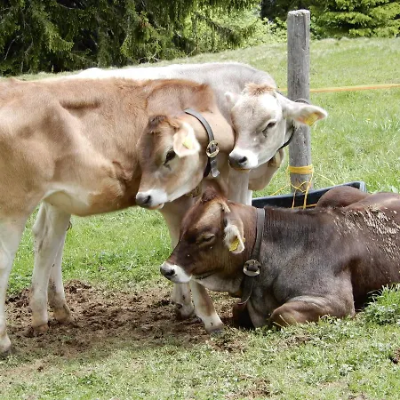 Appartement 333 Mit Schwimmbad Kleinwalsertal