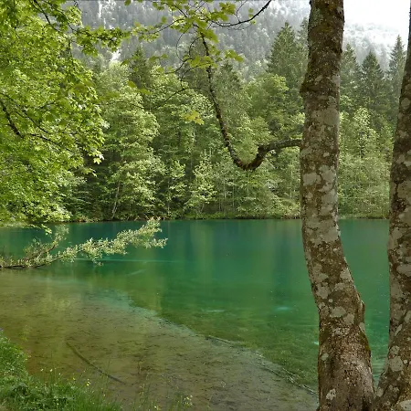 333 Mit Schwimmbad Kleinwalsertal 4*