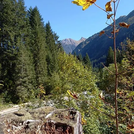 Appartement 333 Mit Schwimmbad Kleinwalsertal