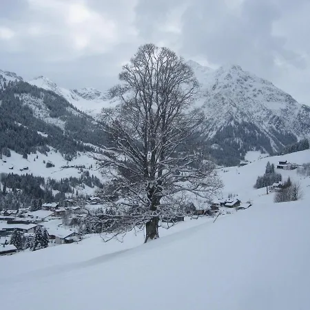 333 Mit Schwimmbad Kleinwalsertal Appartement