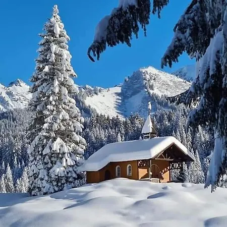 Appartamento 333 Mit Schwimmbad Kleinwalsertal 4*