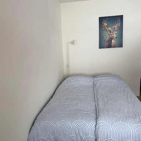 Mit Schwimmbad Kleinwalsertal 미텔베르그