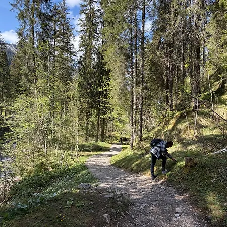 Mit Schwimmbad Kleinwalsertal Appartement